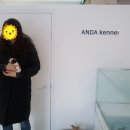 안다켄넬반려견을품에안다