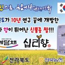 대야농협하나로마트