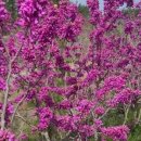 함평군공립요양병원 이미지