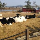 운곡농원 - 8131 | 운곡농원