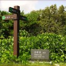 298차 충남 서산 도비산 아라메길(도비마루)접수하는곳 이미지