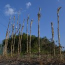 영진1리 이미지