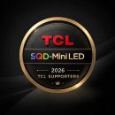 C.L | 34평 거실 인테리어 추천, TCL TV 65C8L 설치 후기
