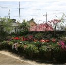 칠복농장 이미지