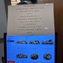 송담8길 | [평택 안중 맛집: 길마카세] 평택 현지인이 추천하는 초밥 찐맛집 내돈내산 후기