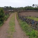 문교화옥 이미지