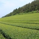 파인빌펜션 이미지