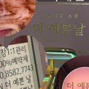 더예쁜날 네이버블로그