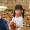 아빠사랑팜 이미지