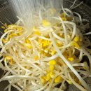 이중근 | 콩나물무침에 관한 고찰 - 미니멀리즘과 컨셉추얼 아트적 관점에서