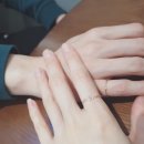 롯데백화점러브앤쇼