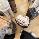 나산5일시장 화장실 | [베트남] 호찌민+무이네 4박 5일 여행일기 DAY 1 - 벤탄시장, 야경 시티투어, 미앤더사이공