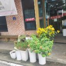 청석골갈비 이미지