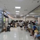 롯데쇼핑(주) 롯데마트 평택점 | 뜨거운 여름 실내 놀이 평택 신상 키즈카페 롯데마트 월드킹
