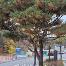 가평한석봉도서관 | 가평 <한석봉 도서관>
