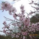 삼랑진발전처 이미지