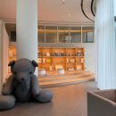 스테이740 | [제주] 돌고래 볼 수 있는 신라스테이 플러스 이호테우 프리미어 디럭스 더블 오션뷰 후기