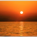 신세대안경 이미지