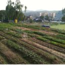 우보농장 이미지