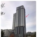 드림피아약국 이미지