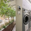 자이안 세탁 이미지