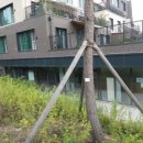 e편한세상테라스광교이스트힐아파트 이미지