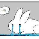 고향의맛집 이미지