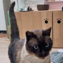 청구마트 이미지