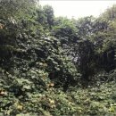 산유리보건진료소 이미지