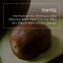 어바웃독 이미지