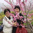 옥산농원 - 동래구 금강로 107 | 옥산농원