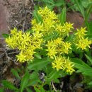 기린초등학교 이미지