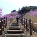 진달래꽃화원 - 의정부시 동일로 146 | 진달래꽃화원