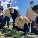 농협음성축산물공판장 이미지