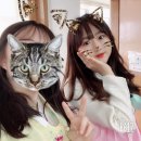 씨유원주국제점 | 국제 행복의 날