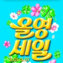 디케이바이오 | [코스메틱] 3월 올영세일 추천템 올리브영 빅세일 | n통째 재구매템/재구매예정템 추천