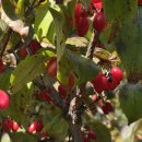 가을코스 이미지