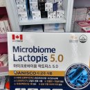 미래약국 | 종로5가 광장시장 먹방과 미래약국 유산균 구매후기 꿀팁