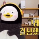 용쓰91 이미지