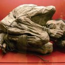 마나전자 이미지