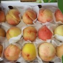 태우장터 이미지