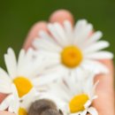 만산골프연습장 이미지