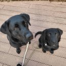 루트231 유치원 & 호텔 이미지