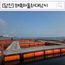 [당진] 왜목마을좌대낚시 다녀 온 솔직후기
