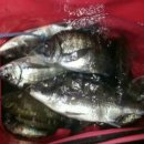 여로수산 이미지