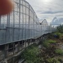 김해시 대동면 답(661평)매매 이미지