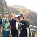 가평 운악산(운주사 - 애기봉 - 구름길 - 동봉 - 현등사 - 주차장) 이미지