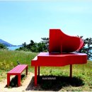 하화도 꽃섬길 이미지