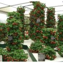 길게임장 이미지