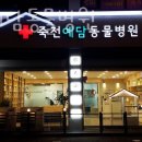 예담동물병원 | 용인 죽전동 동물병원 죽전예담동물병원 위치 오는길 후기